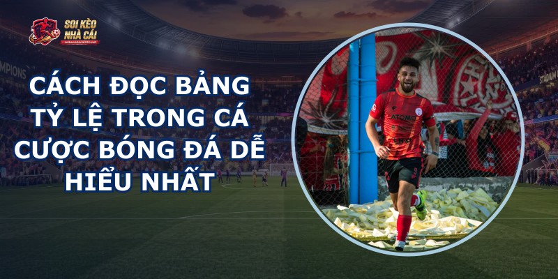 Cách Đọc Bảng Tỷ Lệ