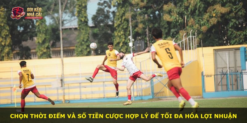 Chọn thời điểm và số tiền cược hợp lý để tối đa hóa lợi nhuận