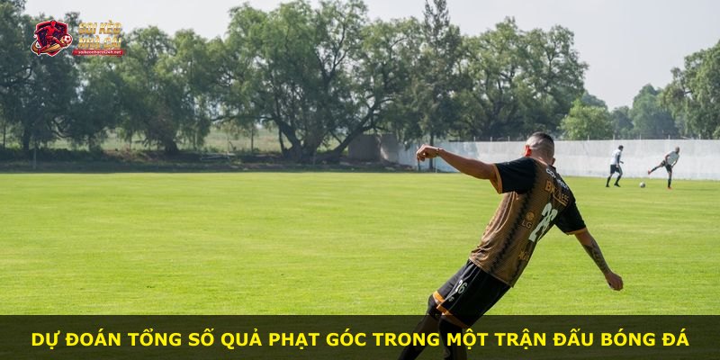 Dự đoán tổng số quả phạt góc trong một trận đấu bóng đá