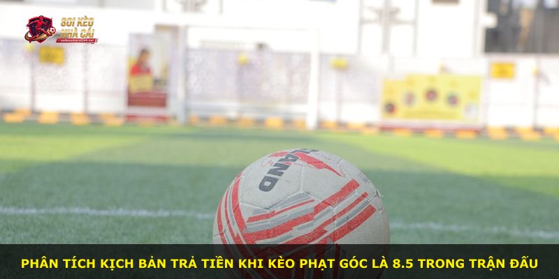 Phân tích kịch bản trả tiền khi kèo phạt góc là 8.5 trong trận đấu