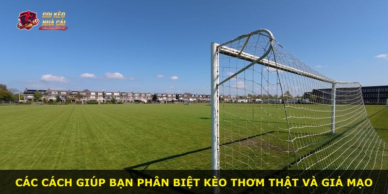 Các cách giúp bạn phân biệt Kèo Thơm thật và giả mạo