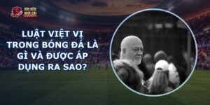 Luật Việt Vị