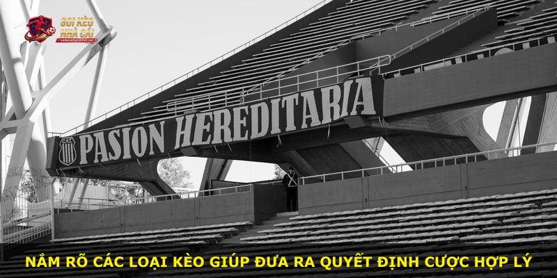 Nắm rõ các loại kèo giúp đưa ra quyết định cược hợp lý