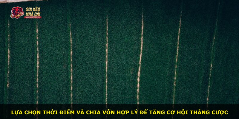 Lựa chọn thời điểm và chia vốn hợp lý để tăng cơ hội thắng cược