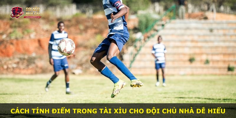 Cách tính điểm trong Tài Xỉu cho đội chủ nhà dễ hiểu