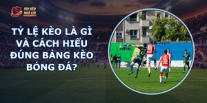 Tỷ Lệ Kèo